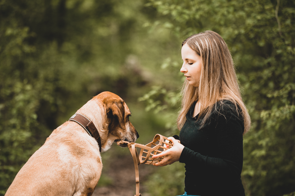 Coach-Your-Dog Hundeschule & Verhaltenstherapie Leonberg