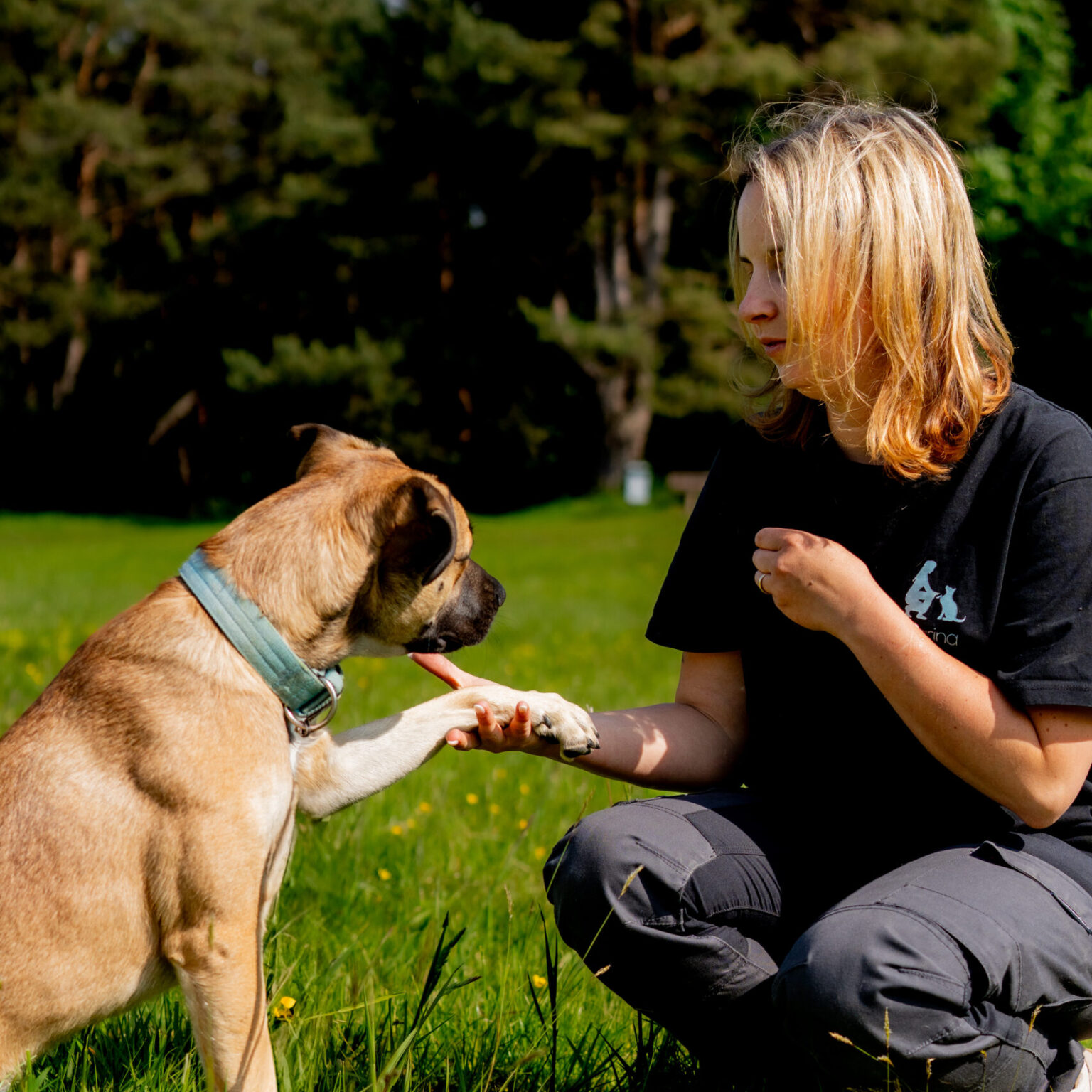 Coach-Your-Dog Trainer-Team mit Hund in Leonberg