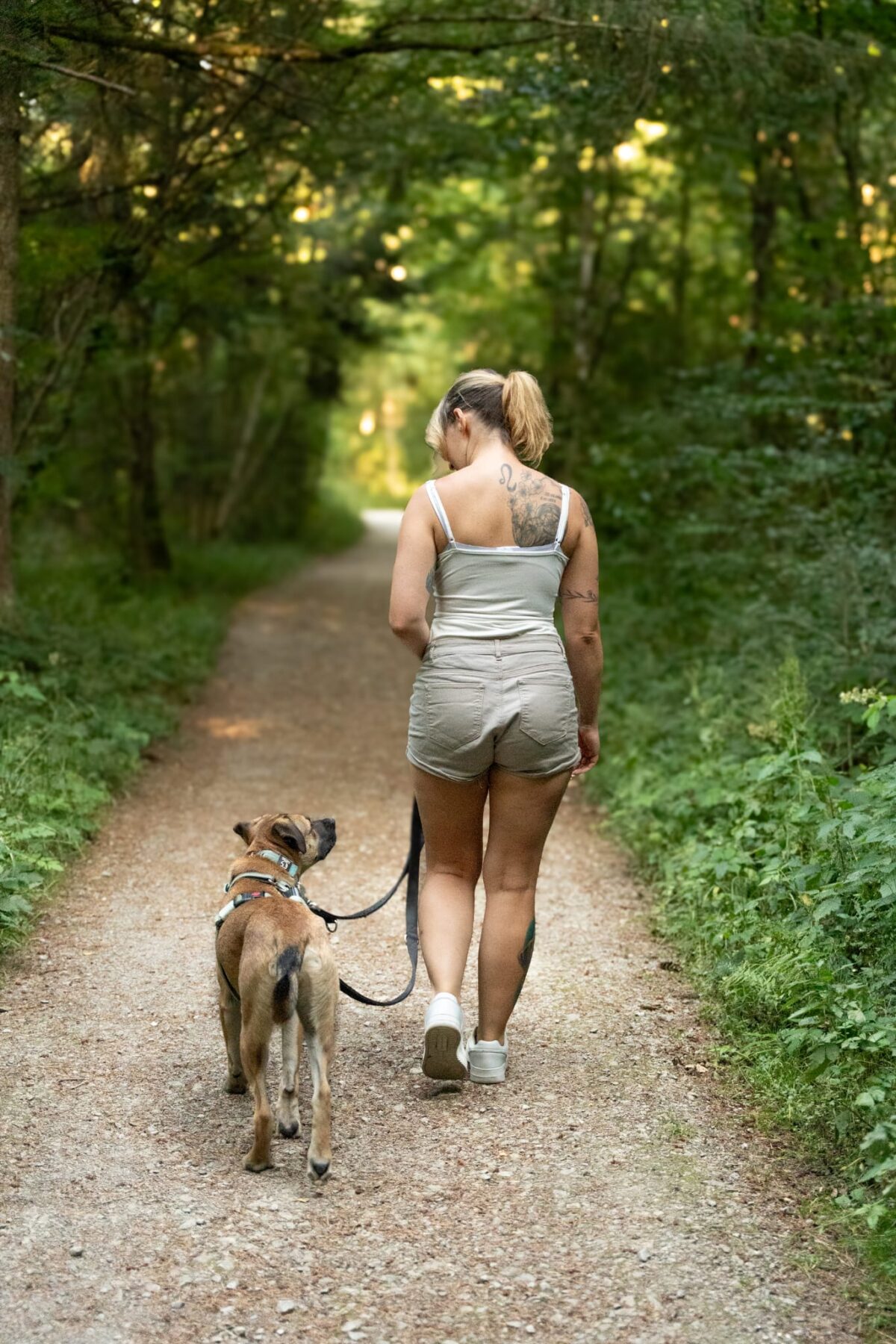 Hundetrainerin von Coach-Your-Dog mit Hund in Leonberg