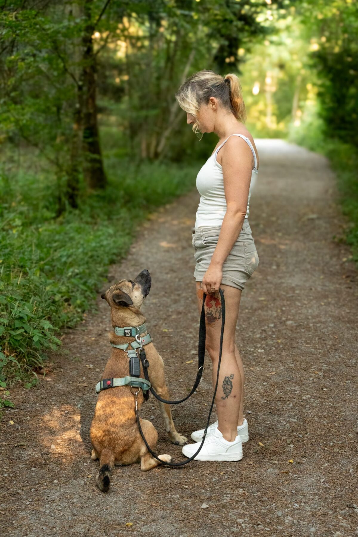 Social Walk der Hundeschule Coach-Your-Dog rund um Leonberg