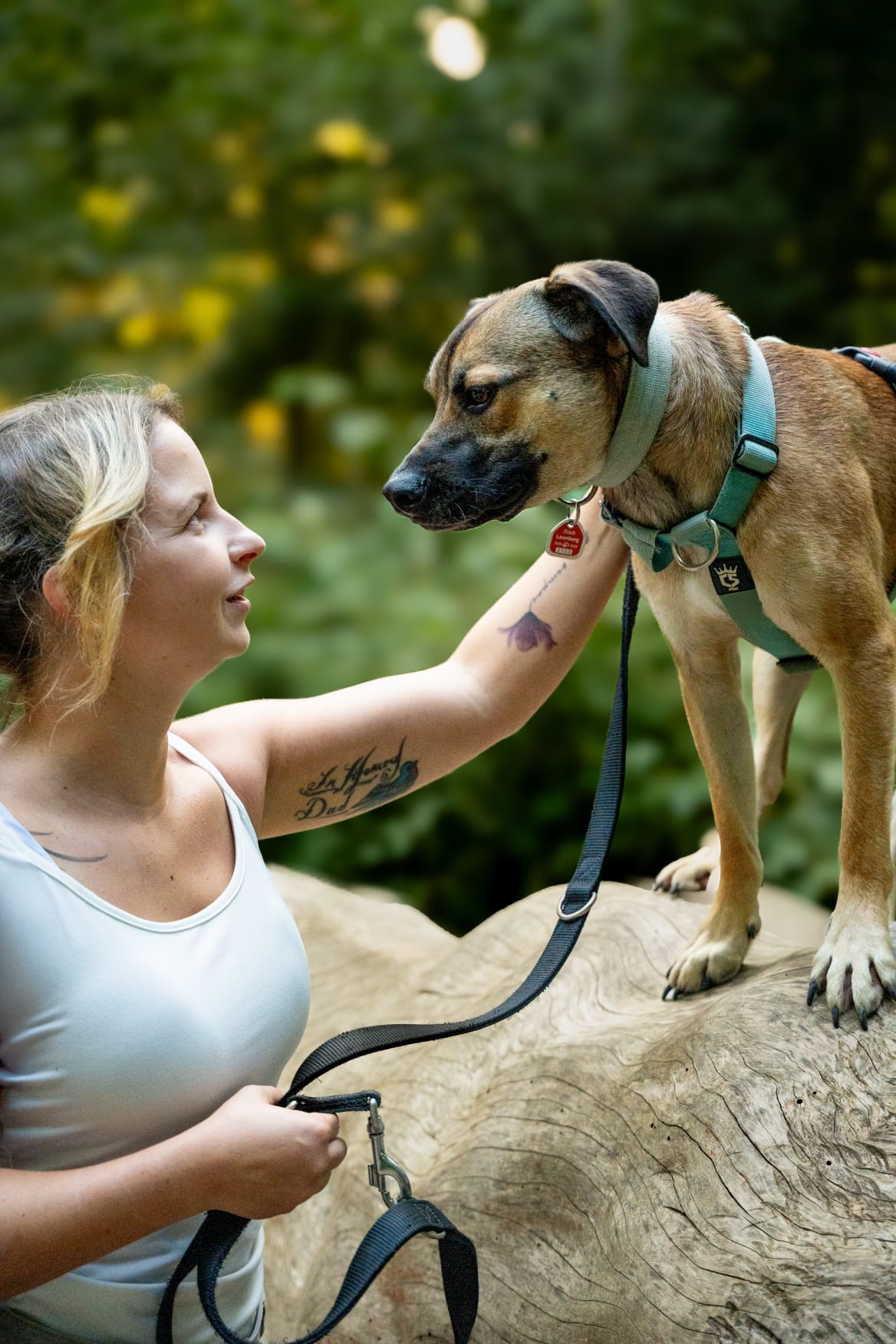 Welpentraining bei Coach-Your-Dog in Leonberg